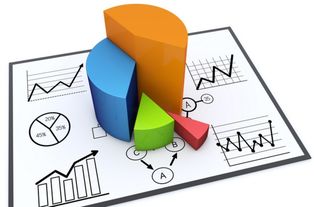 市場(chǎng)調(diào)研 企業(yè)成功開(kāi)發(fā)的導(dǎo)航儀